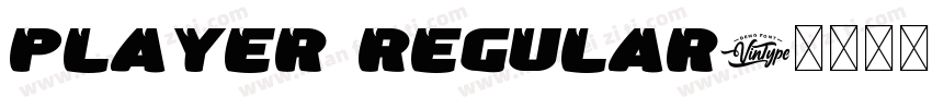 Player Regular字体转换